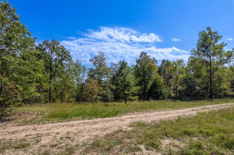 0 Madison CR 411 (122), Fredericktown, Missouri 63645, ,Farm,For Sale,Madison CR 411 (122),MAR24062409