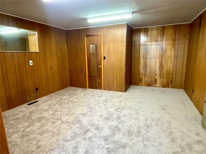 Basement featuring carpet and wood walls