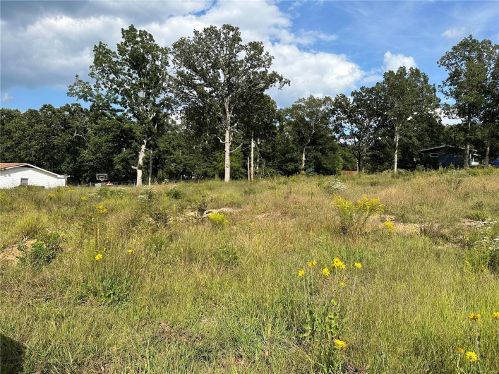 328 St Gerard Street, Bonne Terre, Missouri 63628, ,Land,For Sale,St Gerard,MAR23055663