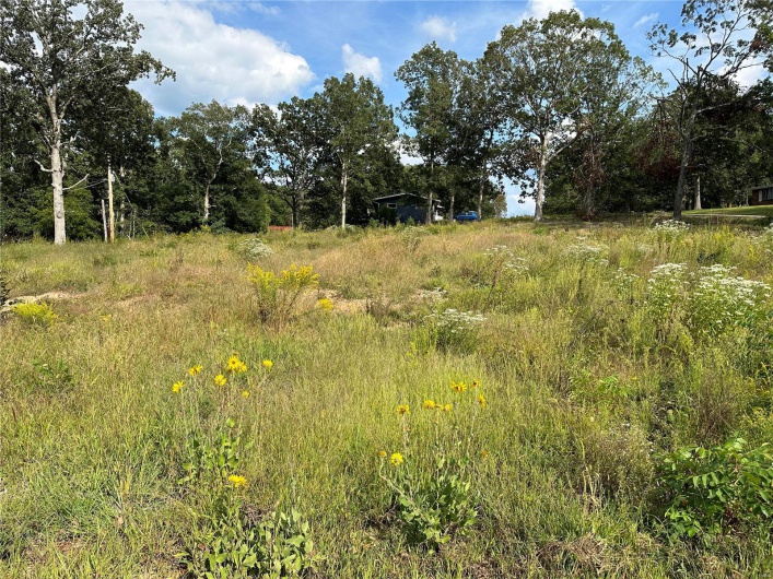 328 St Gerard Street, Bonne Terre, Missouri 63628, ,Land,For Sale,St Gerard,MAR23055663