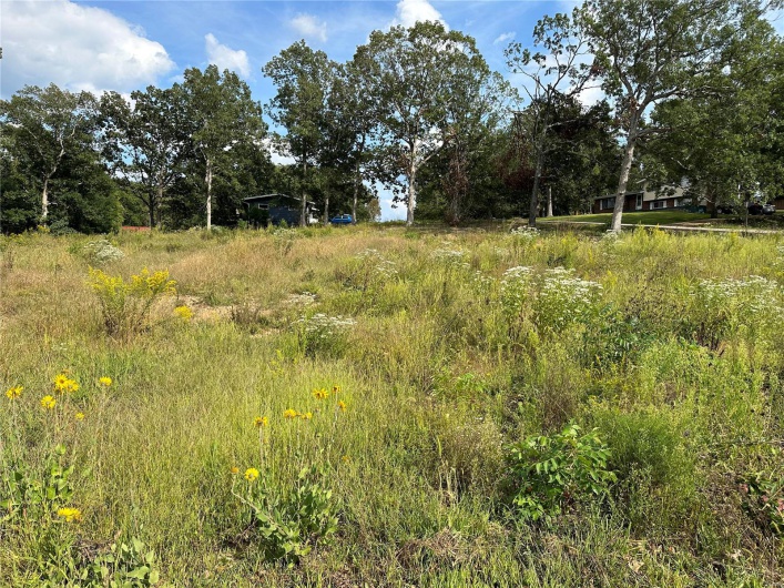 328 St Gerard Street, Bonne Terre, Missouri 63628, ,Land,For Sale,St Gerard,MAR23055663