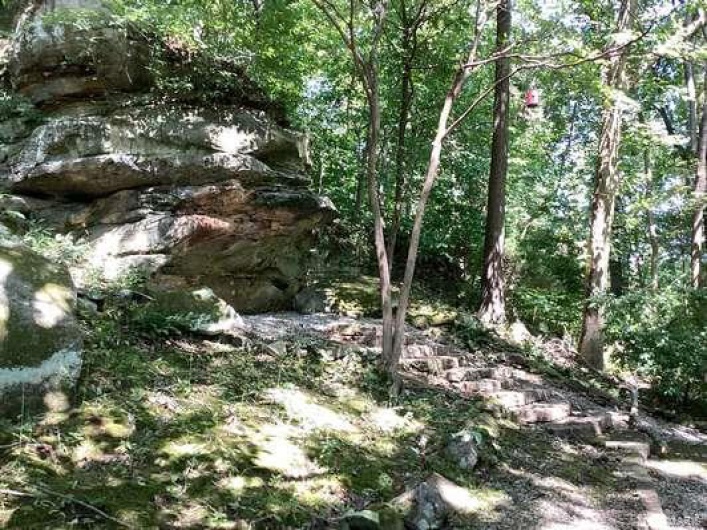 View of local wilderness