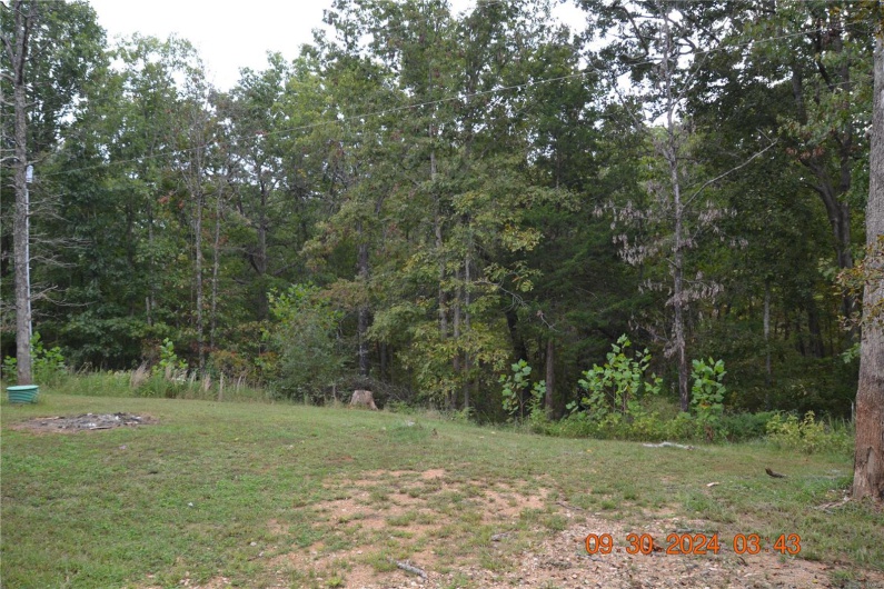 View of back yard