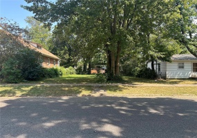 730 Ellis Street, Cape Girardeau, Missouri 63703, ,Land,For Sale,Ellis Street,MAR24063791