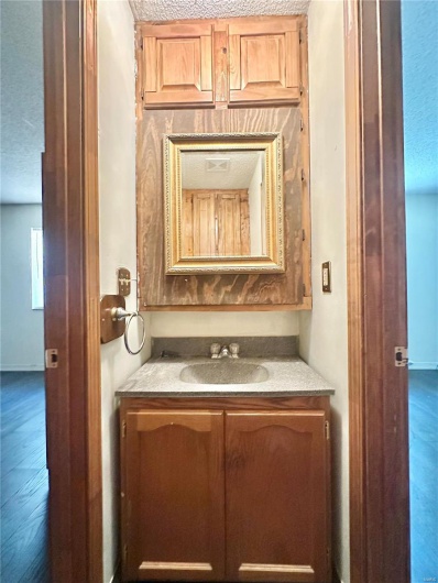 Bathroom with vanity, wood-type flooring, and a textured ceiling