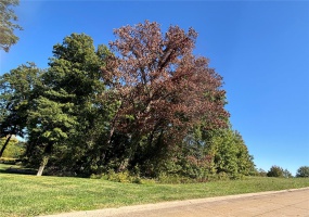 5678 Dalhousie Drive, Cape Girardeau, Missouri 63701, ,Land,For Sale,Dalhousie,MAR24063555