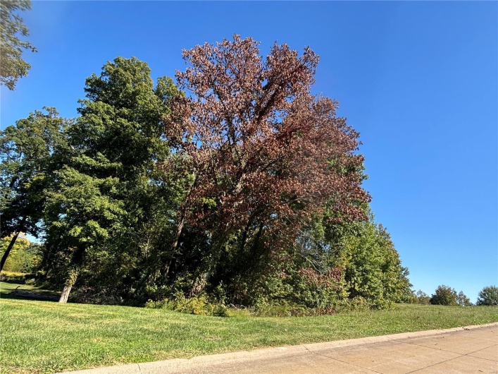 5678 Dalhousie Drive, Cape Girardeau, Missouri 63701, ,Land,For Sale,Dalhousie,MAR24063555