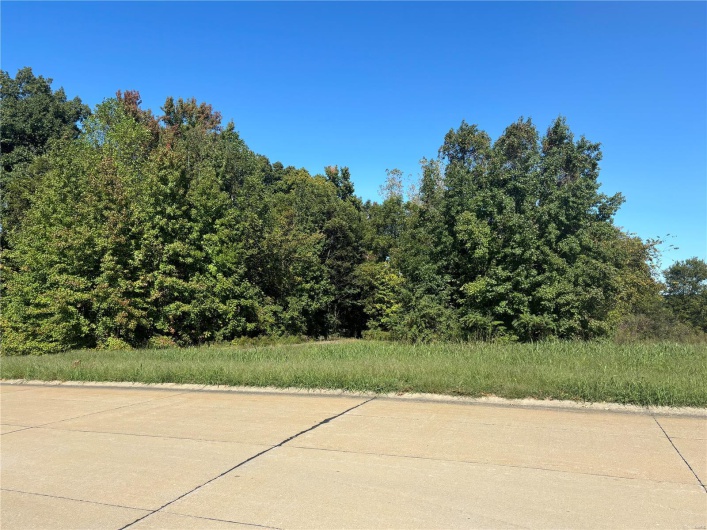 5678 Dalhousie Drive, Cape Girardeau, Missouri 63701, ,Land,For Sale,Dalhousie,MAR24063555