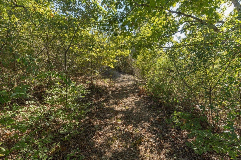 0 Lots 11 & 12 Normandie Drive, Bonne Terre, Missouri 63628, ,Land,For Sale,Lots 11 & 12 Normandie,MAR24064183