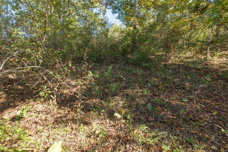 0 Lots 11 & 12 Normandie Drive, Bonne Terre, Missouri 63628, ,Land,For Sale,Lots 11 & 12 Normandie,MAR24064183