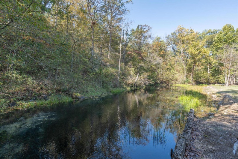 22183 State Highway 49, Mill Spring, Missouri 63952, 3 Bedrooms Bedrooms, 6 Rooms Rooms,2 BathroomsBathrooms,Farm,For Sale,State Highway 49,MAR24064596