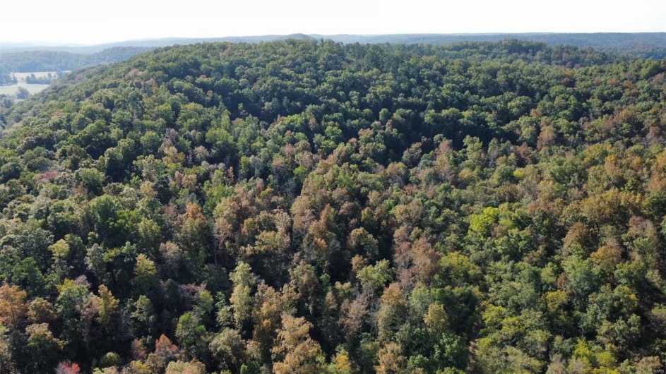 22183 State Highway 49, Mill Spring, Missouri 63952, 3 Bedrooms Bedrooms, 6 Rooms Rooms,2 BathroomsBathrooms,Farm,For Sale,State Highway 49,MAR24064596
