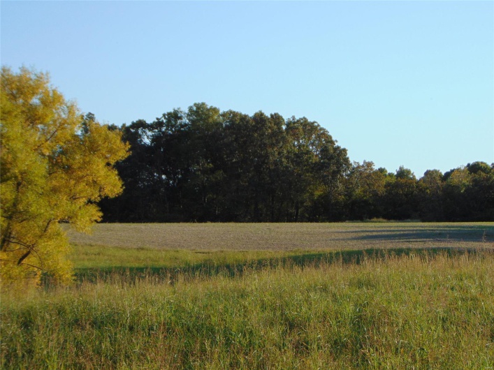 Field