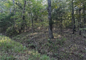 0 Fox Lane, Bonne Terre, Missouri 63628, ,Land,For Sale,Fox,MAR24056695
