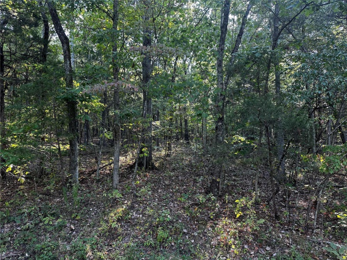 0 Fox Lane, Bonne Terre, Missouri 63628, ,Land,For Sale,Fox,MAR24056695