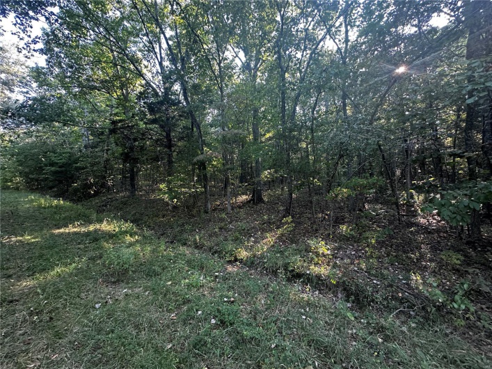 0 Fox Lane, Bonne Terre, Missouri 63628, ,Land,For Sale,Fox,MAR24056695
