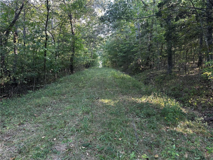 0 Fox Lane, Bonne Terre, Missouri 63628, ,Land,For Sale,Fox,MAR24056695