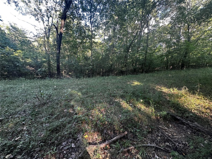 0 Fox Lane, Bonne Terre, Missouri 63628, ,Land,For Sale,Fox,MAR24056695
