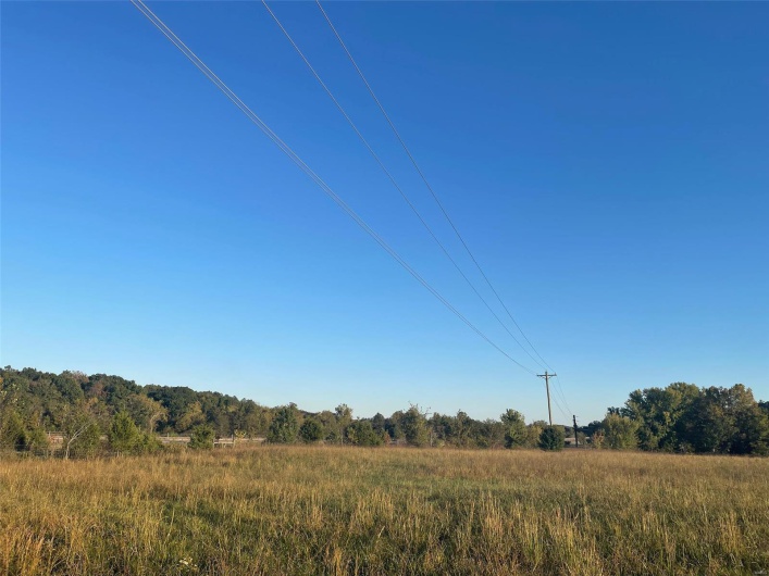 View of local wilderness with a rural view