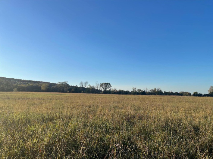 View of local wilderness with a rural view