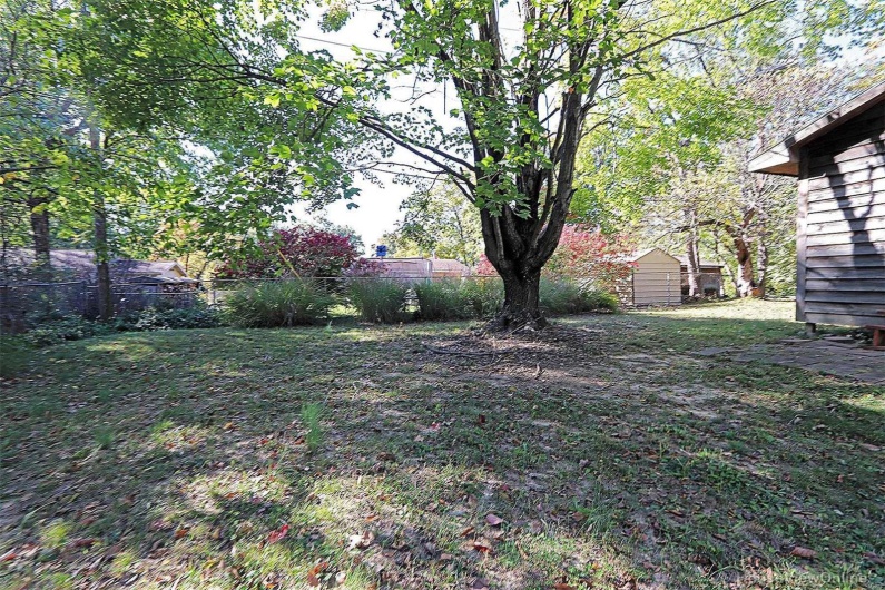 View of yard with a shed