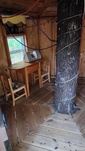 Inside the treehouse