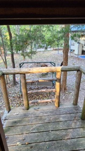 view from treehouse
