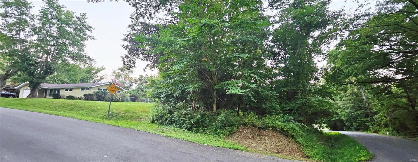 0 Landis Drive, Cape Girardeau, Missouri 63701, ,Land,For Sale,Landis,MAR24048596