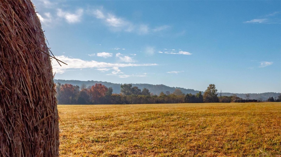 0 CR 371, Patterson, Missouri 63944, ,Farm,For Sale,CR 371,MAR24067600