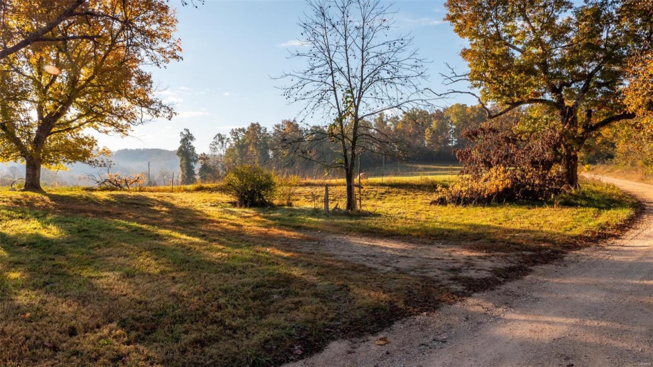 0 CR 371, Patterson, Missouri 63944, ,Farm,For Sale,CR 371,MAR24067600