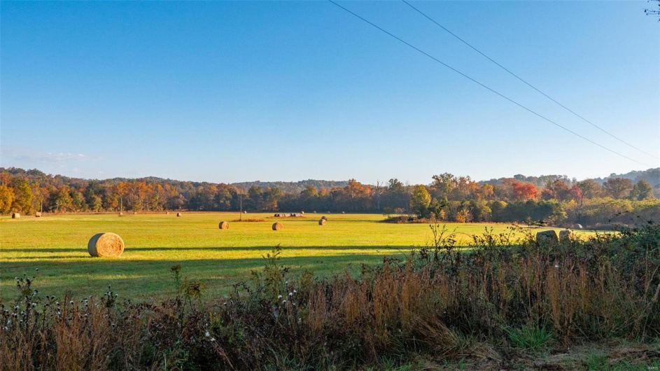 0 CR 371, Patterson, Missouri 63944, ,Farm,For Sale,CR 371,MAR24067600