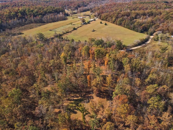 0 County Road 534, Poplar Bluff, Missouri 63901, ,Farm,For Sale,County Road 534,MAR23066121