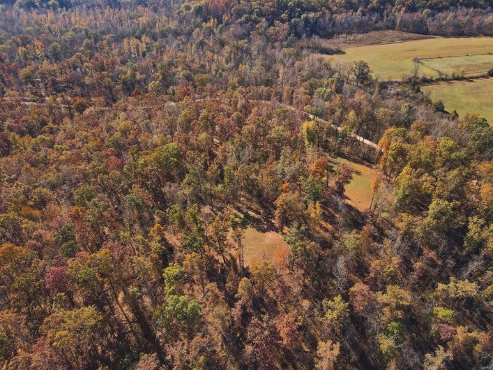 0 County Road 534, Poplar Bluff, Missouri 63901, ,Farm,For Sale,County Road 534,MAR23066121