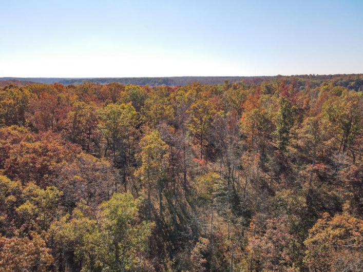0 County Road 534, Poplar Bluff, Missouri 63901, ,Farm,For Sale,County Road 534,MAR23066121
