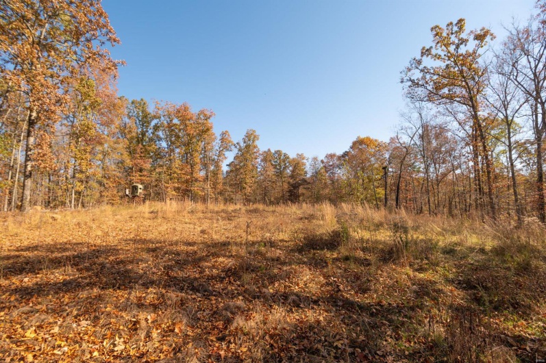 0 County Road 534, Poplar Bluff, Missouri 63901, ,Farm,For Sale,County Road 534,MAR23066121