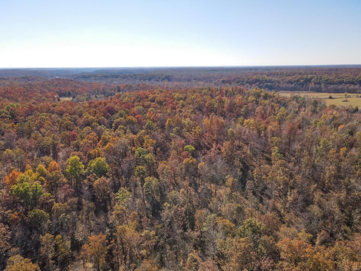 0 County Road 534, Poplar Bluff, Missouri 63901, ,Farm,For Sale,County Road 534,MAR23066121