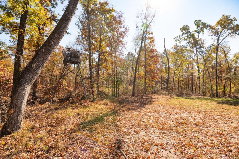 0 County Road 534, Poplar Bluff, Missouri 63901, ,Farm,For Sale,County Road 534,MAR23066121