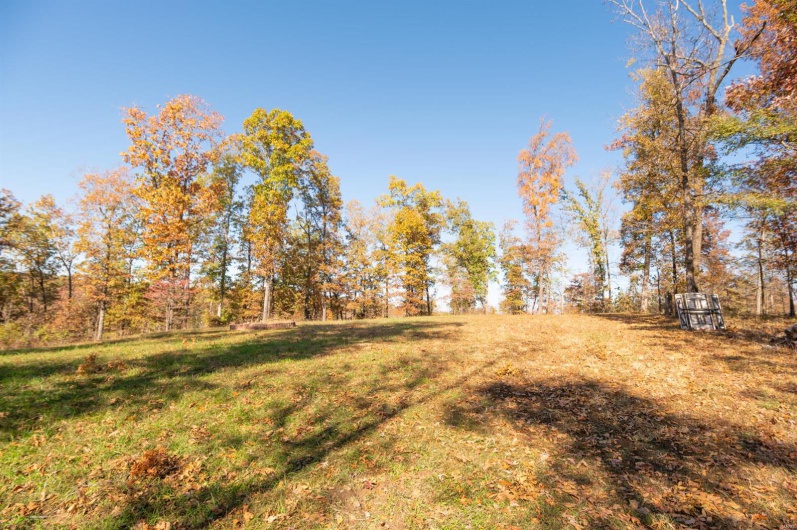 0 County Road 534, Poplar Bluff, Missouri 63901, ,Farm,For Sale,County Road 534,MAR23066121