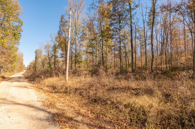 0 County Road 534, Poplar Bluff, Missouri 63901, ,Farm,For Sale,County Road 534,MAR23066121