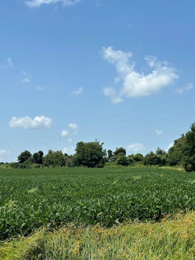 0 Highway 62, Campbell, Missouri 63933, ,Farm,For Sale,Highway 62,MAR24045230