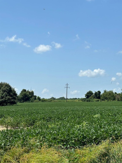 0 Highway 62, Campbell, Missouri 63933, ,Farm,For Sale,Highway 62,MAR24045230