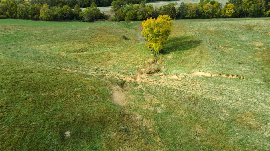 View of local wilderness with a rural view