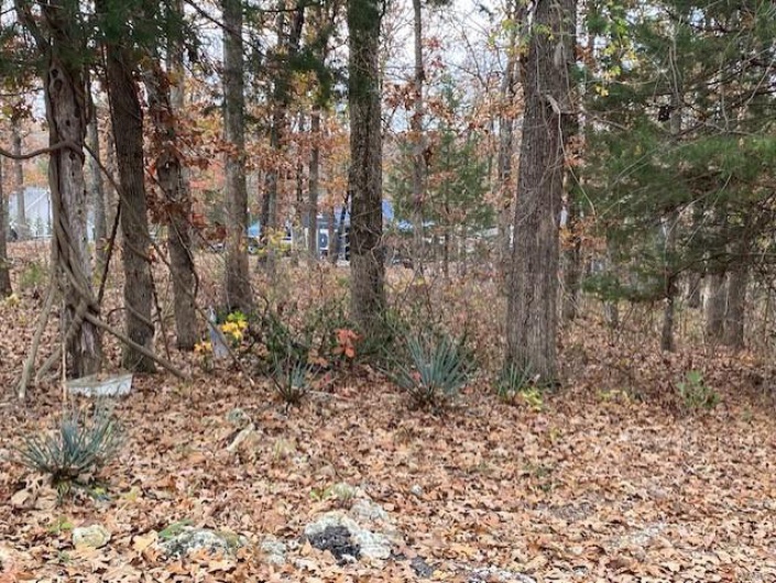 1028 Port Perry Dr, Perryville, Missouri 63775, ,Land,For Sale,Port Perry Dr,MAR24070849