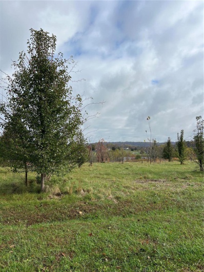 12 Emerald Valley Lake Estates, Cape Girardeau, Missouri 63701, ,Land,For Sale,Emerald Valley Lake Estates,MAR24071011