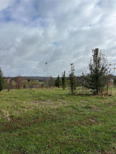 12 Emerald Valley Lake Estates, Cape Girardeau, Missouri 63701, ,Land,For Sale,Emerald Valley Lake Estates,MAR24071011