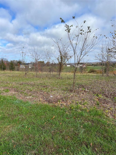 12 Emerald Valley Lake Estates, Cape Girardeau, Missouri 63701, ,Land,For Sale,Emerald Valley Lake Estates,MAR24071011