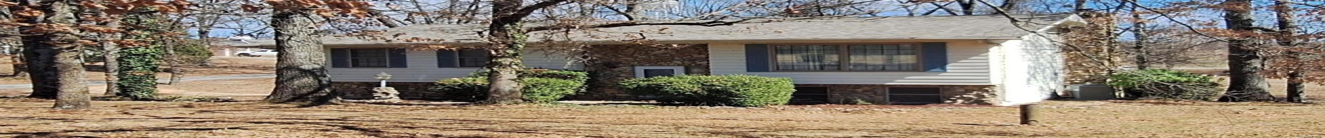 Residential For Sale 15164 Orchard Lake Drive, Dexter, Missouri 63841, 4 Bedrooms Bedrooms, 9 Rooms Rooms,3 BathroomsBathrooms,Residential,For Sale,Orchard Lake,MAR24052564