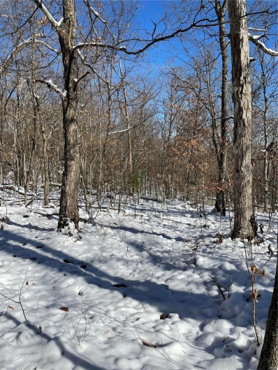View of yard covered in snow