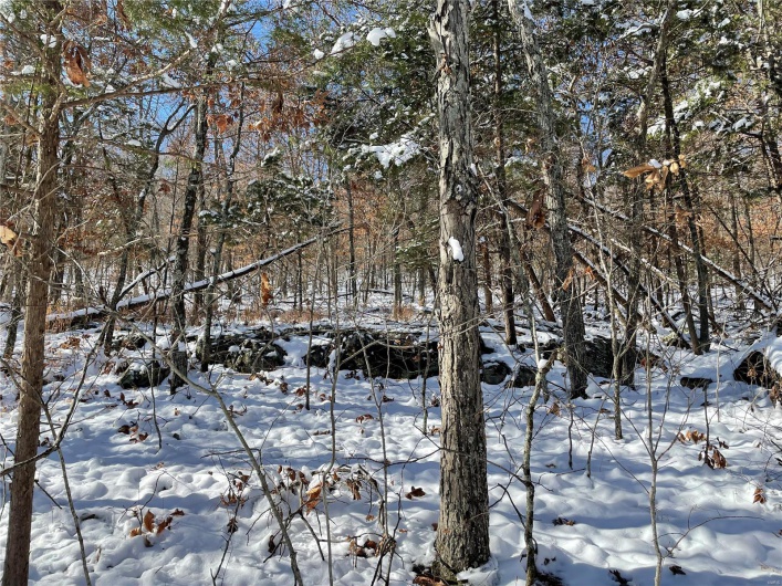 View of snow covered land