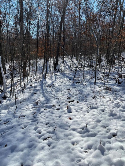 View of snowy view